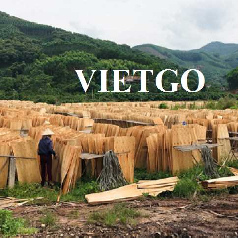 Thương vụ xuất khẩu ván bóc đến thị trường Ấn Độ