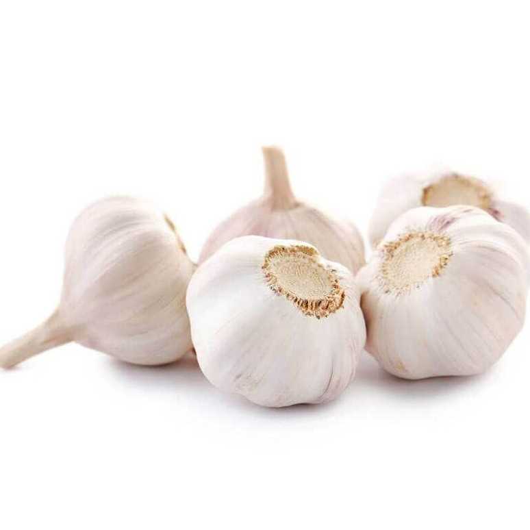 I need Garlic