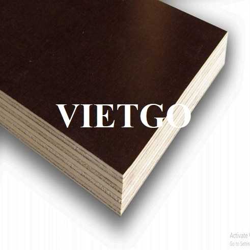 Cơ hội xuất khẩu gỗ dán phủ phim tới Hy Lạp và Albania