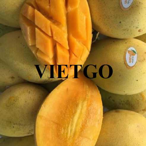 Cơ hội hợp tác xuất khẩu xoài Cát Chu và xoài Cát Hòa Lộc đến thị trường Ý và Thụy Điển 