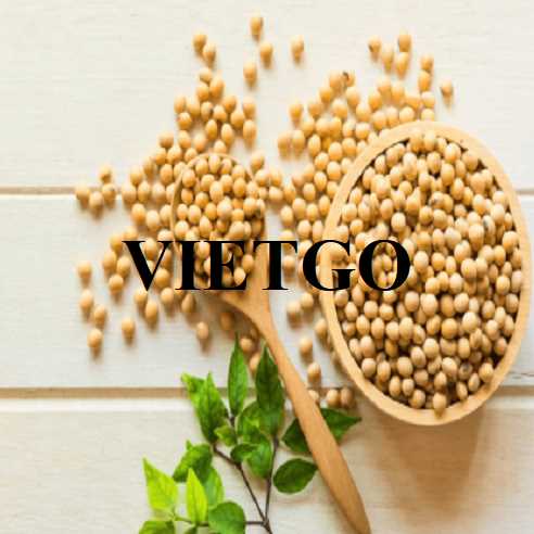 Cơ hội hợp tác xuất khẩu đậu nành đến thị trường Mỹ