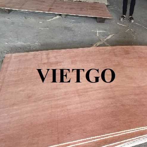 Thương vụ xuất khẩu gỗ dán thương mại sang thị trường Ấn Độ