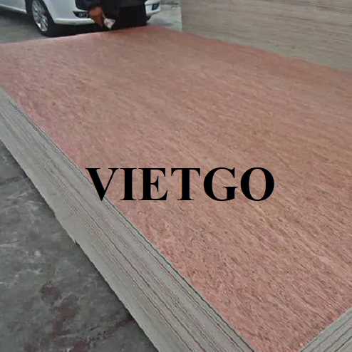 Thương vụ xuất khẩu gỗ dán bao bì sang thị trường Ấn Độ