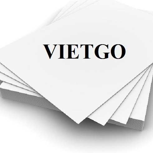 Cơ hội xuất khẩu giấy A4 sang thị trường Hà Lan