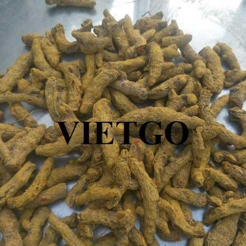 Thương vụ xuất khẩu nghệ khô nguyên củ sang thị trường Bangladesh