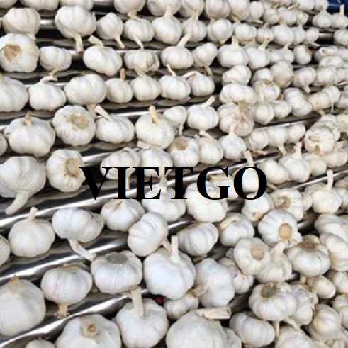Cơ hội hợp tác xuất khẩu tỏi đến thị trường Bangladesh