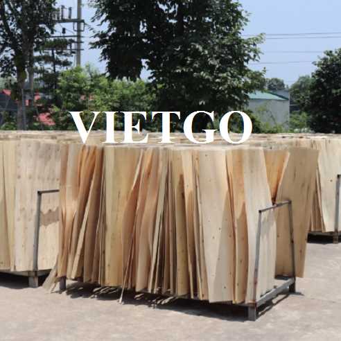 Thương vụ xuất khẩu ván bóc sang thị trường Ai Cập