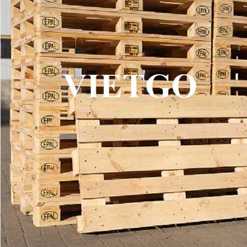 Cơ hội xuất khẩu pallet sang thị trường Ả Rập
