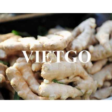 Cơ hội hợp tác xuất khẩu gừng tươi đến thị trường Ấn Độ 
