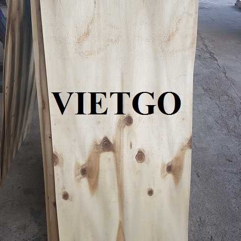 Thương vụ xuất khẩu sản phẩm ván bóc đến thị trường Ấn Độ