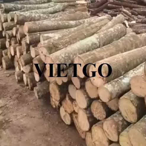 Thương vụ xuất khẩu gỗ keo tròn sang thị trường Ấn Độ
