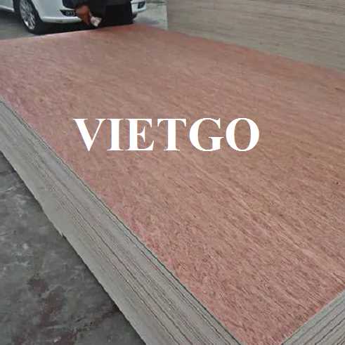 Thương vụ xuất khẩu gỗ dán bao bì sang thị trường Ấn Độ