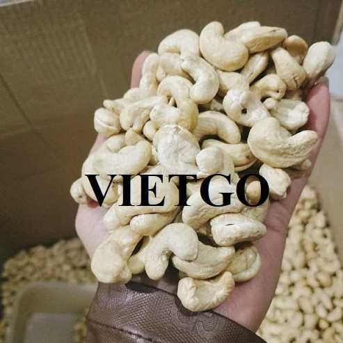 Cơ hội hợp tác xuất khẩu hạt điều nhân trắng w320 và w240 sang thị trường Malaysia