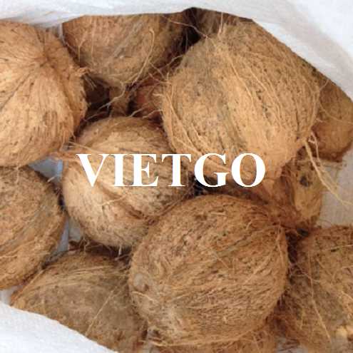 Cơ hội cung cấp mặt hàng dừa khô lột vỏ sang thị trường Oman