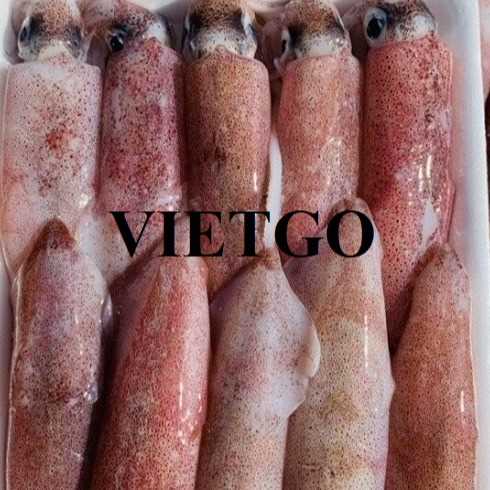 Cơ hội xuất khẩu mực sang thị trường Thái Lan