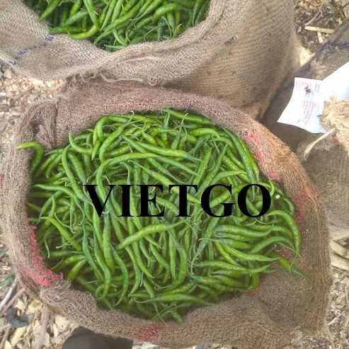 Cơ hội cung cấp mặt hàng ớt xanh sang thị trường Oman