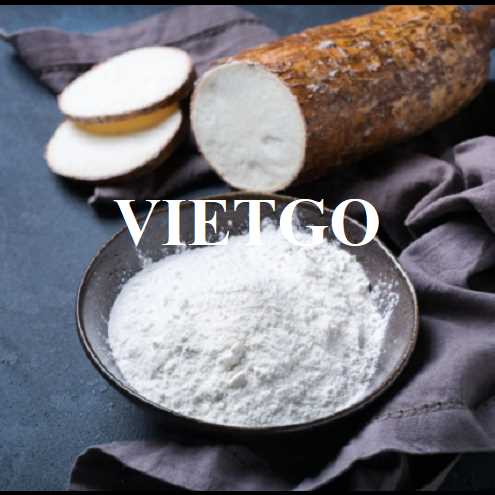 Cơ hội hợp tác xuất khẩu tinh bột sắn đầy hấp dẫn sang thị trường Trung Quốc