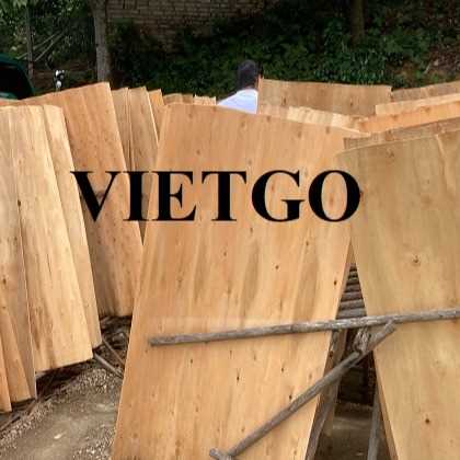 Thương vụ xuất khẩu sản phẩm ván bóc đến thị trường Ấn Độ
