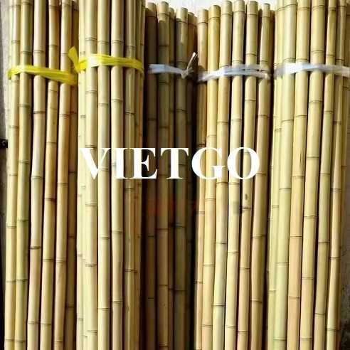 Cơ hội giao thương xuất khẩu gậy tre sang thị trường Thổ Nhĩ Kỳ
