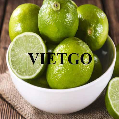 Cơ hội hợp tác xuất khẩu chanh sang thị trường UAE và Ả Rập Xê Út