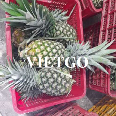 Cơ hội hợp tác xuất khẩu dứa MD2 đến thị trường Iran