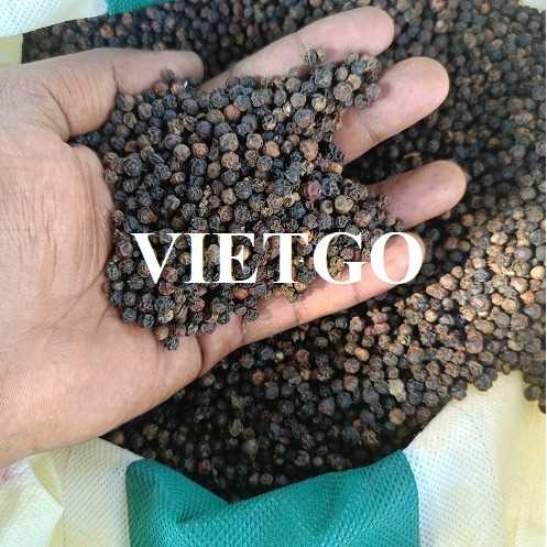 Cơ hội xuất khẩu hạt tiêu sang thị trường Ấn Độ