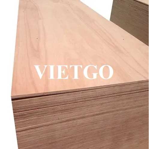 Thương vụ xuất khẩu gỗ dán sang thị trường Ấn Độ