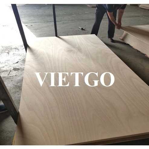Thương vụ xuất khẩu gỗ dán sang thị trường Ấn Độ