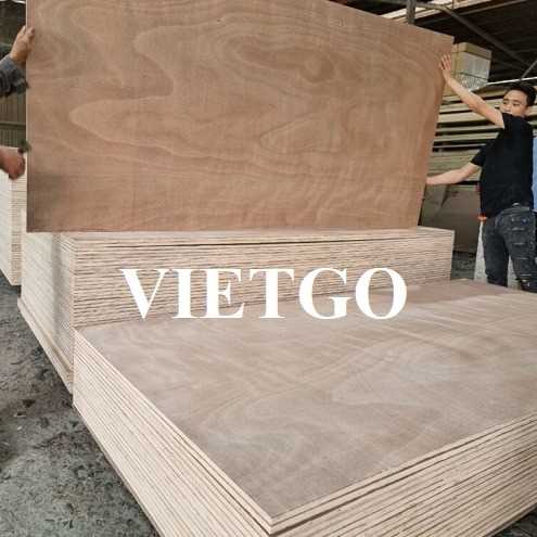 Thương vụ xuất khẩu sản phẩm gỗ dán đến thị trường Ấn Độ