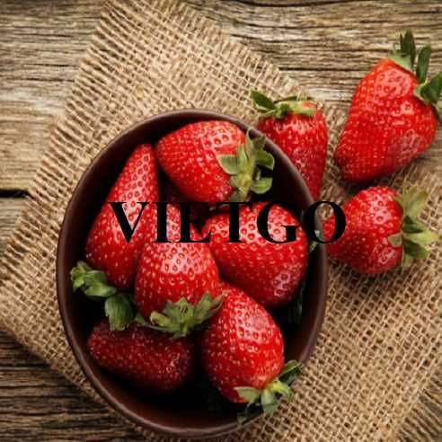 Cơ hội xuất khẩu dâu tây sang thị trường Lithuania