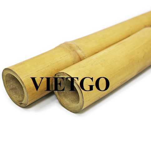 Cơ hội xuất khẩu gậy tre sang thị trường Tây Ban Nha