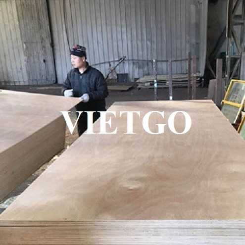 Thương vụ xuất khẩu gỗ dán sang thị trường Ấn Độ