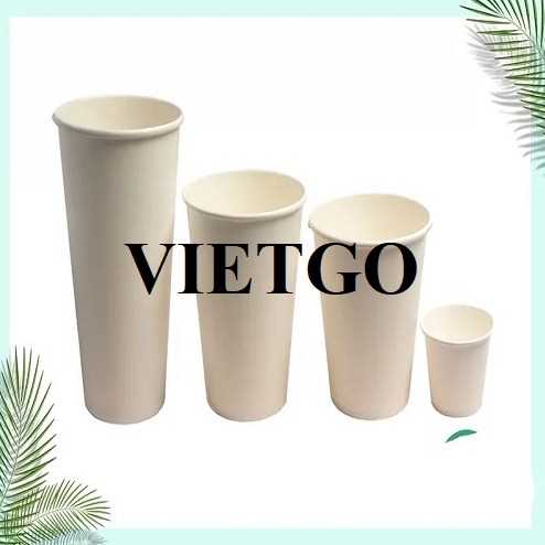 Thương vụ xuất khẩu cốc giấy sang thị trường Ấn Độ