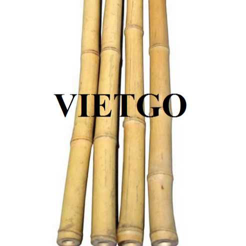 Cơ hội xuất khẩu gậy tre sang thị trường UAE