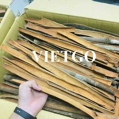 Cơ hội xuất khẩu sản phẩm quế chẻ sang thị trường Ấn Độ