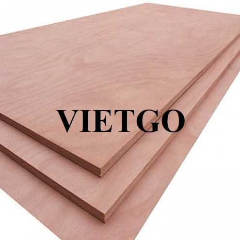 Thương vụ xuất khẩu gỗ dán sang thị trường Ấn Độ