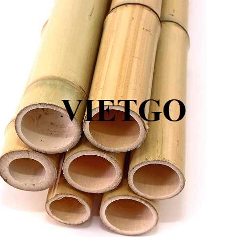 Cơ hội xuất khẩu gậy tre sang thị trường Malaysia