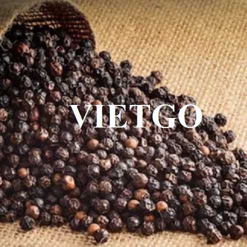 Cơ hội hợp tác với doanh nghiệp tại Thái Lan để xuất khẩu sản phẩm hạt tiêu đen
