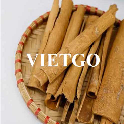 Cơ hội hợp tác xuất khẩu quế chẻ đến thị trường Ấn Độ