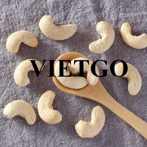Cơ hội hợp tác xuất khẩu hạt điều nhân trắng W320 đến thị trường Ai Cập