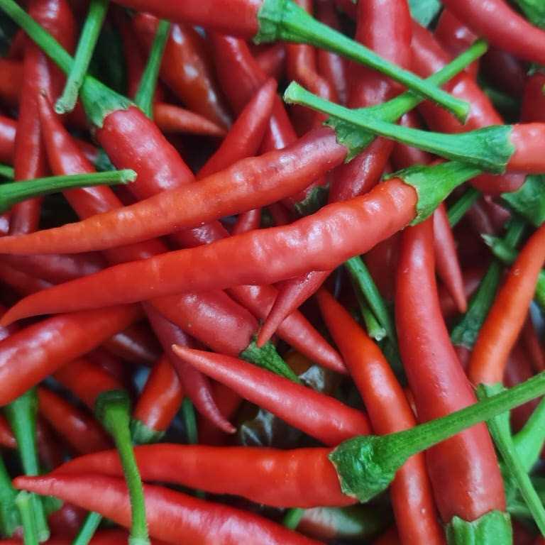 i want to buy Chilli