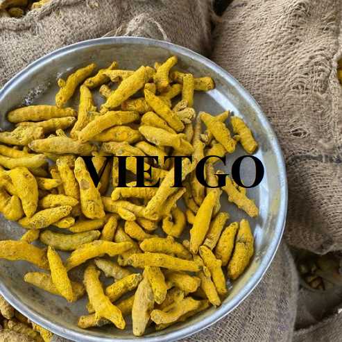 Cơ hội xuất khẩu nghệ sang thị trường Ấn Độ
