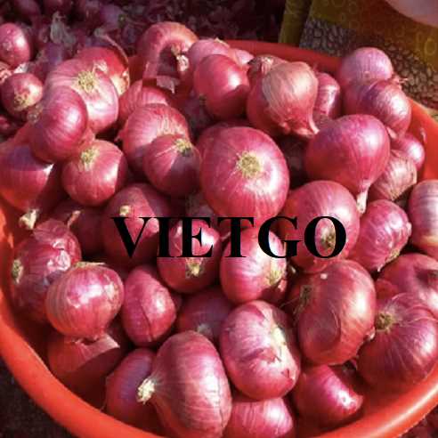 Cơ hội hợp tác xuất khẩu hành tím đến thị trường Oman