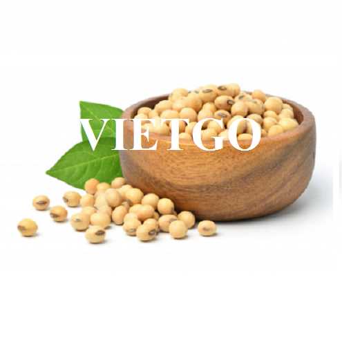 Cơ hội hợp tác xuất khẩu đậu nành đến thị trường Philippines