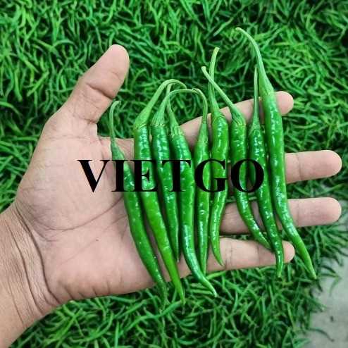 Cơ hội xuất khẩu ớt xanh đến thị trường Úc