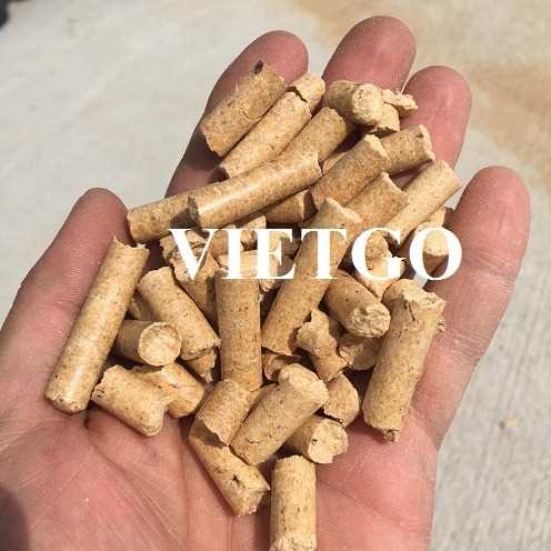 Cơ hội xuất khẩu viên nén mùn cưa sang thị trường Ý