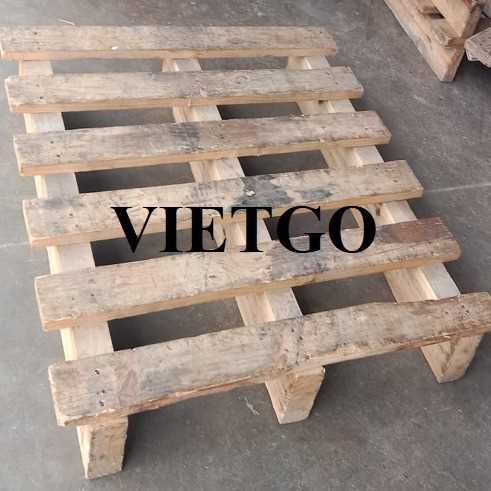 Thương vụ xuất khẩu pallet gỗ sang thị trường Ấn Độ