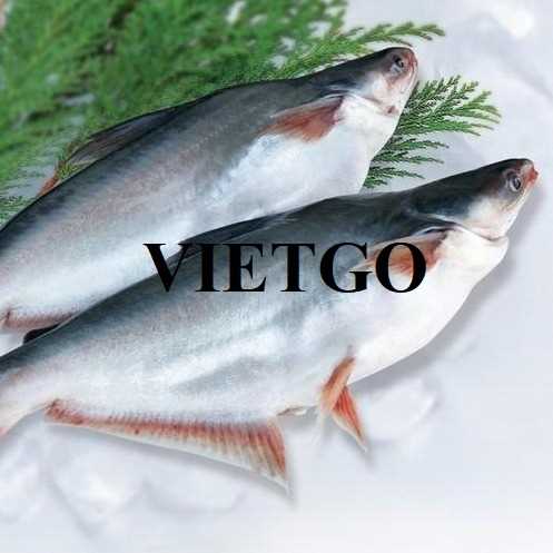 [Gấp] Cơ hội giao thương xuất khẩu cá basa sang thị trường Trung Quốc