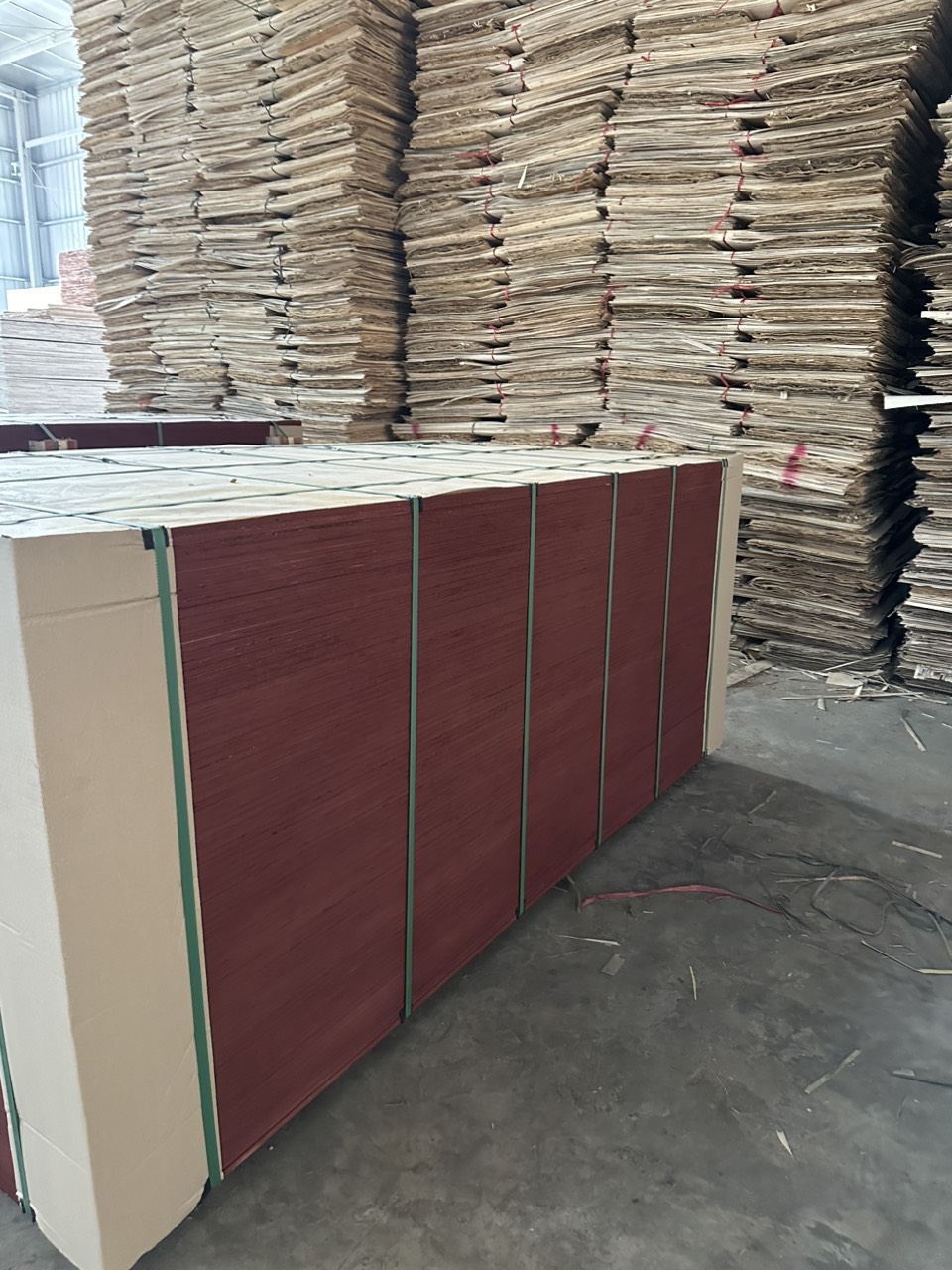 Cần tìm cước biển cho hàng gỗ dán