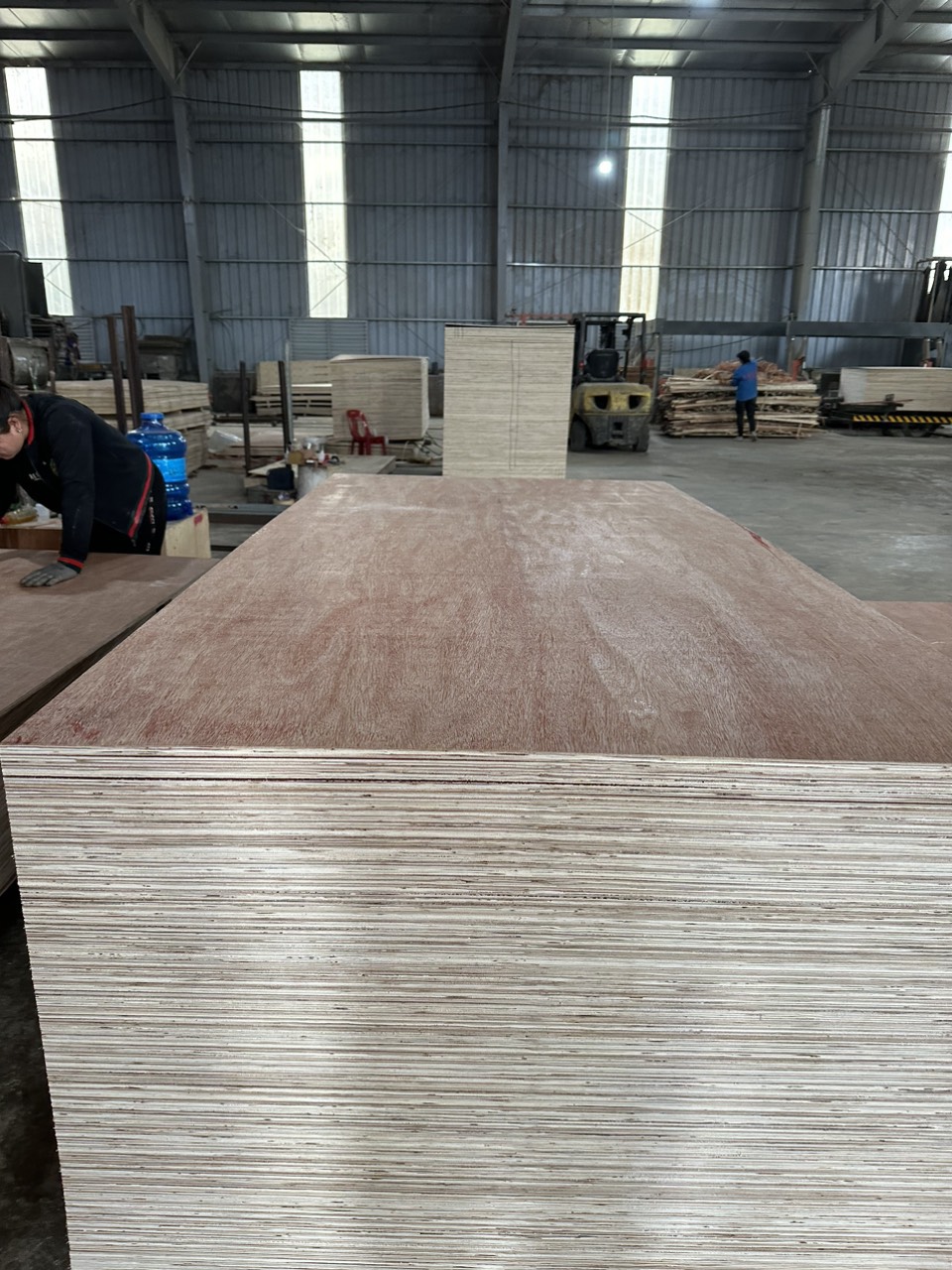 Cần tìm cước biển cho hàng gỗ dán đi  Nhật Bản
